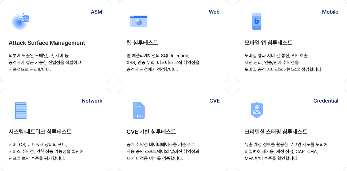 ASM, 웹 침투테스트, 모바일 앱 침투테스트, 시스템 네트워크 침투테스트, CVE 기반 침투테스트, 크리덴셜 스터핑 침투테스트